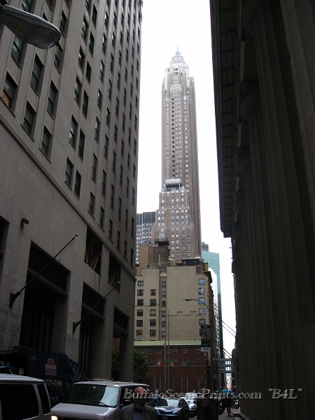 IMG_5462.jpg