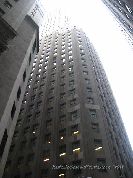 IMG_5486.jpg