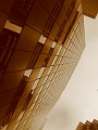IMG_5490