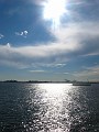IMG_5550