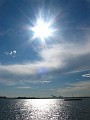 IMG_5551