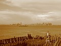 IMG_5615