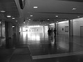 IMG_5621