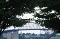 IMG_0982