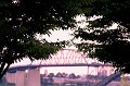 IMG_09820