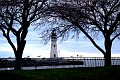IMG_12380
