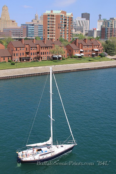 IMG_7927.jpg