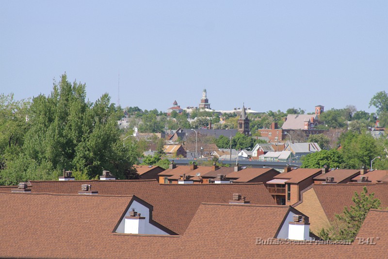 IMG_8001.jpg