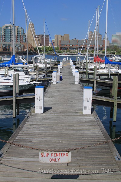IMG_8089.jpg