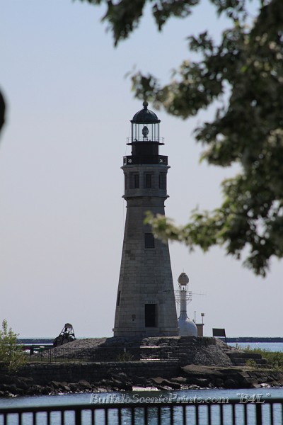 IMG_8129.jpg