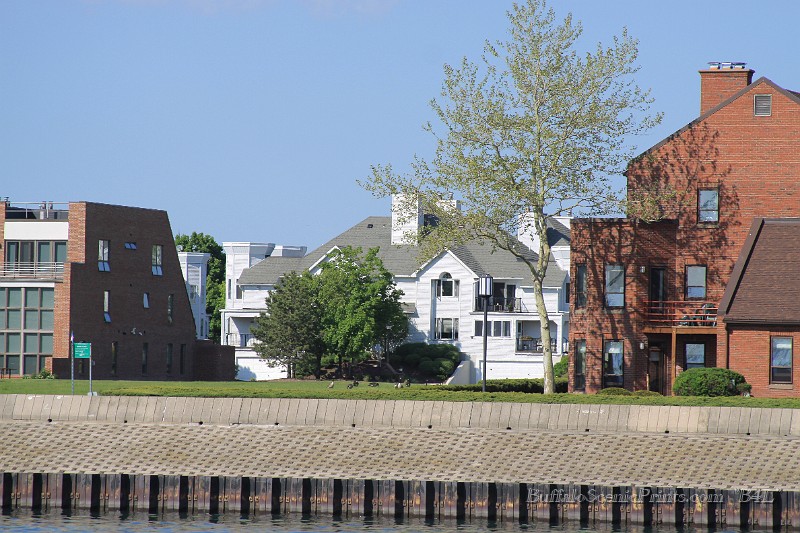 IMG_8346.jpg