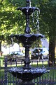 IMG_0206