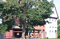 IMG_0246