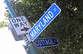 IMG_0257
