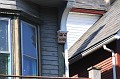 IMG_0268