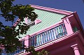 IMG_0344