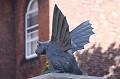 IMG_0406