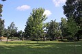 IMG_0432