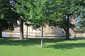 IMG_0453