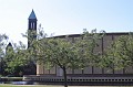 IMG_0459